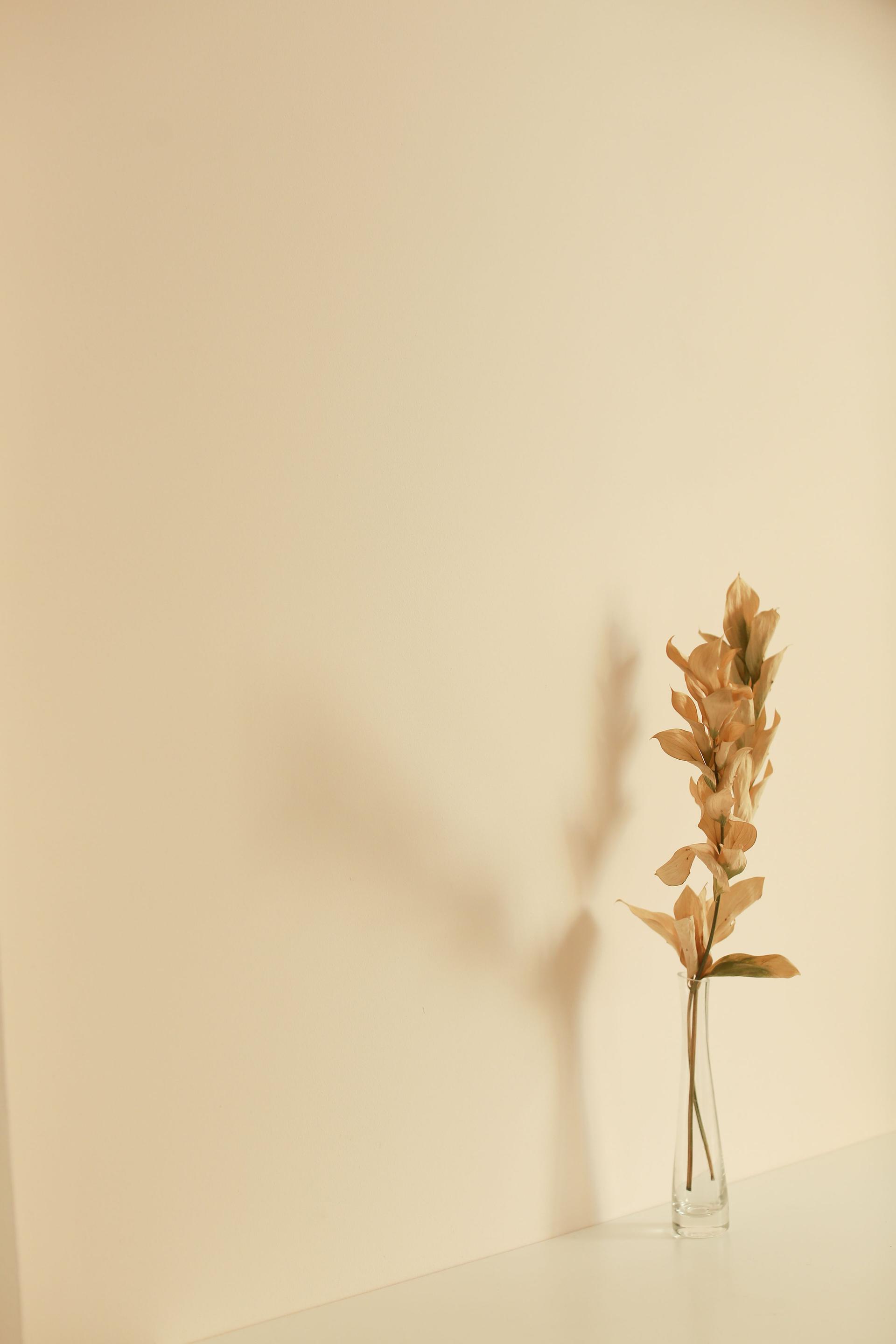 Still life of flowers, vase with dried flowers on a delicate background